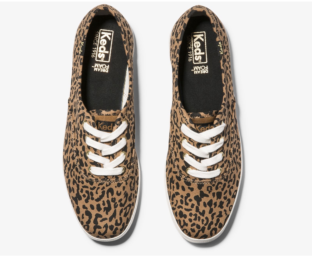 Keds Sneaker Damen Braun - Washable Champion Animal - STV-289561